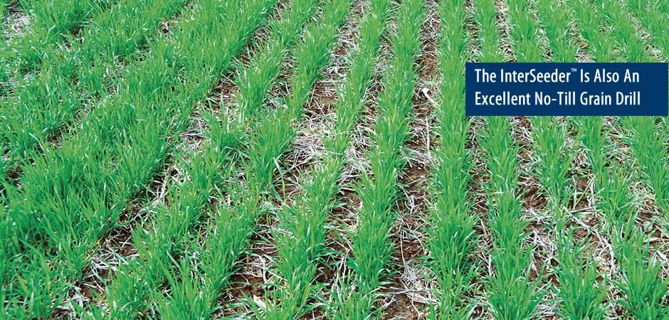 InterSeeder™